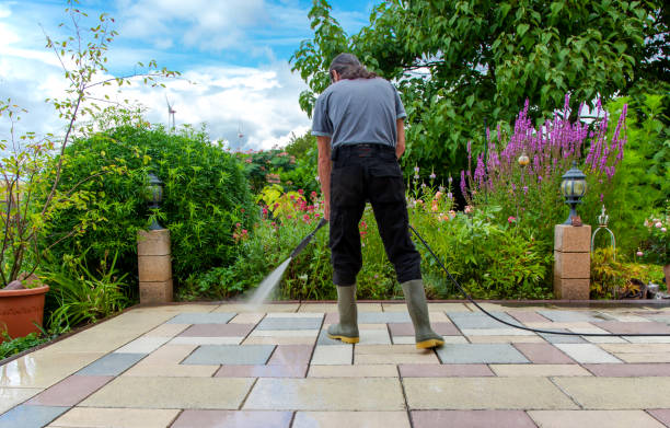 Best Residential Pressure Washing in Little Canada, MN